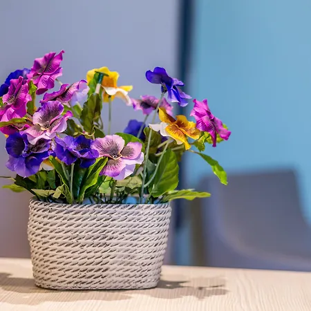 New Splendid & - Adults Only Mamaia