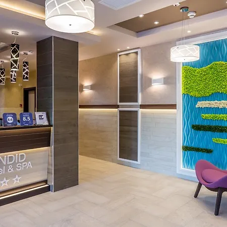 New Splendid & - Adults Only