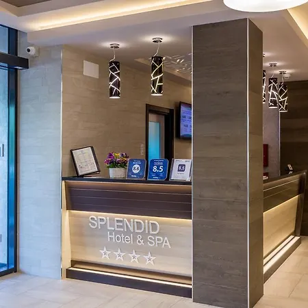 New Splendid & - Adults Only