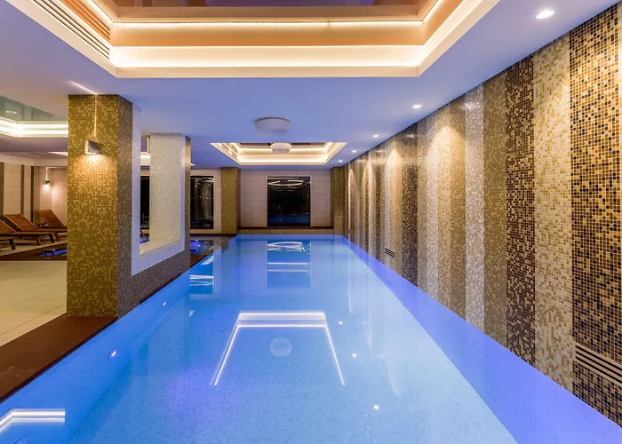 New Splendid & - Adults Only