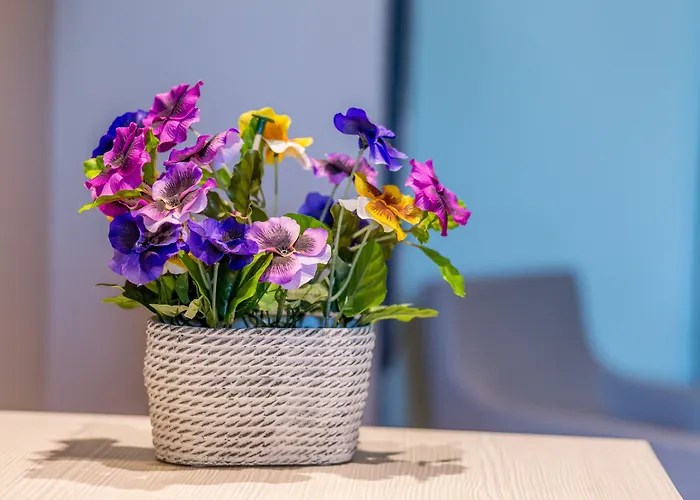 New Splendid & - Adults Only Mamaia